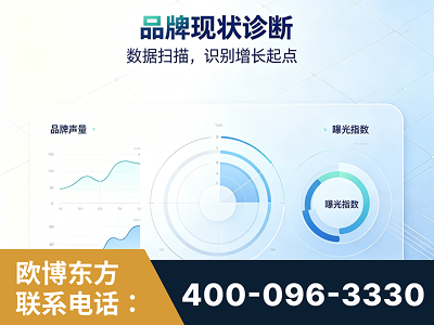 巢湖-品牌现状诊断