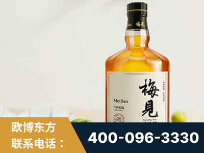 巢湖-梅见青梅酒